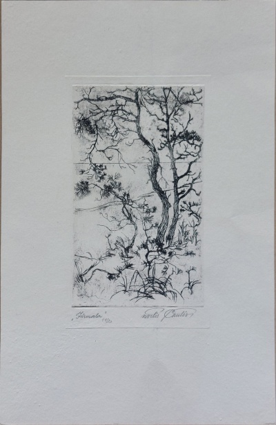 Изображение 279